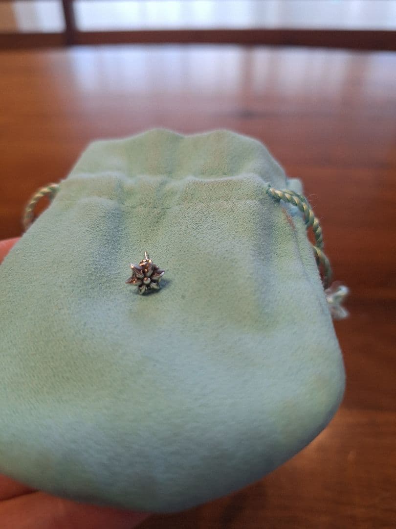 CHROME HEARTSスタースタッドピアス